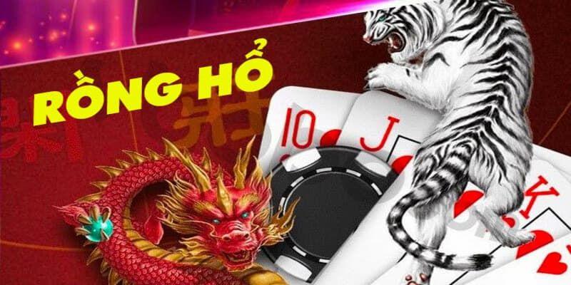Lưu ý cách soi cầu rồng hổ